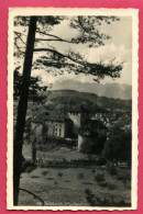 Delcampe - CPA (Réf :HH526) FELDKIRCH, SCHAFFONTURG (AUTRICHE) - Feldkirch