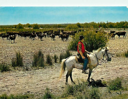Animaux - Chevaux - CPM - Voir Scans Recto-Verso - Chevaux