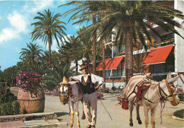 Animaux - Anes - Espagne - Espana - Torremolinos - Malaga - La Roca Y Estampa Tipica - Hotel - Donkeys - Burros - Esel - - Anes