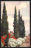 Künstler-AK Madeira, Quinta Stanford, Cypress Avenue - Madeira