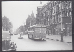 125500/ 1954 Bristol L55G Single Decker With ECW Body *United* In Westborough, Scarborough, Yorkshire - Buses & Coaches