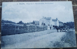 AINEFFE " Propriété F. Marchandise . Horticulteur . , Chevaux, Charette , Animée Nº 2 - Faimes