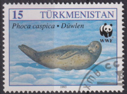 1993 Turkmenistan ⵙ Mi:TM 30,Yt:TM 40, Caspian Seal (Phoca Caspica), On Ice / WWF - Turkmenistan