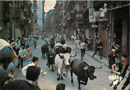 Corrida - Espagne - España - En El Centra De Pamplona, Cerca De La Plaza Del Castillo, En La Calle Del Encierro - Taurea - Corrida