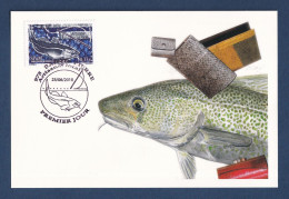 Saint Pierre Et Miquelon - FDC - Premier Jour - Carte Maximum - YT N° 981 - Artisanat Local - Morue - 2010 - FDC