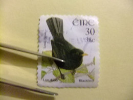 108 IRLANDA EIRE 2001 / FAUNA PAJAROS ( Blackbird (mirlo) / YVERT 1353 FU - Oblitérés