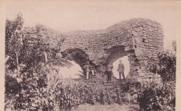 Delcampe - ROUSSILLON LES RUINES TBE - Roussillon