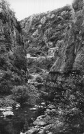 66 AMELIE LES BAINS PALALDA LES GORGES DU MONDONY - Amélie-les-Bains-Palalda