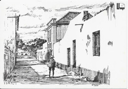 LUANDA  ANTIGA     -  Antiga Rua C. Da Cunha - Angola