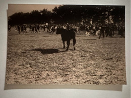 30 LE CAILAR COURSE DE TAUREAUX PROVENCE TAUROMACHIE CAMARGUE - Other & Unclassified