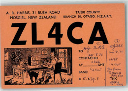 39581828 - Wellington - New Zealand