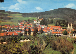 07-LA LOUVESC-N°3685-C/0085 - La Louvesc