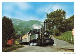 CAR-ACJP10-0617-SUISSE - Chemin De Fer Touristique Blonay - Chamby - Halte De Cornaux - Other & Unclassified