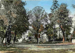 94 - Sucy En Brie - Parc Montaleau - CPM - Voir Scans Recto-Verso - Sucy En Brie
