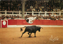 Corrida - La Course Landaise - Le Saut Au-dessus De La Coursière Est Un Exercice Prisé De La Course Landaise - Agruna Ic - Corrida