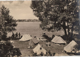 Y124444 - Grünheide - Peetzsee - Grünheide