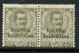 Trentino - Floreale Cent. 45 Soprastampa Venezia Tridentina Incompleta - Ortsausgaben/Autonome A.