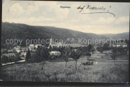 Oppenau - Oppenau