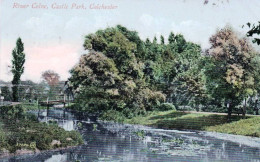 U.K -  Essex -  COLCHESTER - River Colne - Castel Park - Colchester
