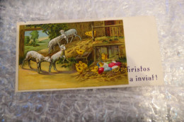 ROMANIA - CHRISTOS A INVIAT! PASTE - Other & Unclassified