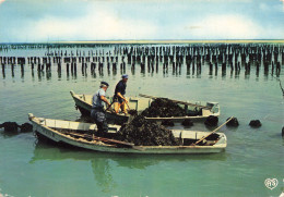85 SAINTE HERMINE PARCS A MOULES - Sainte Hermine