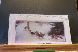 Delcampe - A16/812 LETTRE FRANCE - Hunde