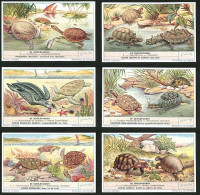 6 Sammelbilder Liebig, Serie Nr.: 1703, De Schildpadden, Landschildpad, Bijtschildpad, Zeeschildpad, Matamata - Liebig