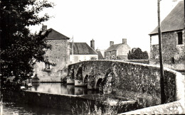 CPA Ducey La Selune Le Vieux Pont - Ducey