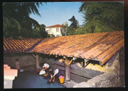 CPSM / CPM 10.5 X 15 Deux Sèvres CERIZAY Le Lavoir Du St-Père   Lavandières - Cerizay