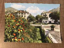 DIGNE LES BAINS Le Rond Point Et Le Boulevard Gassendi - Digne