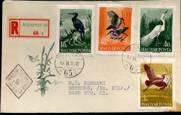Registered Cover From Hungary To Germany - Covers & Documents