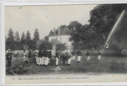 77 CPA DONNEMARIE EN MONTOIS MANOEUVRE DES POMPIERS - Donnemarie Dontilly