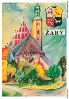 AOFP12-0816-POLOGNE - ZARY - Autor Ryszard Tomczack - Poland