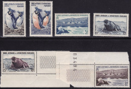 1956 TAAF - Maury N. 2/6 - Fauna Dell'Antartico - Set Of 6 MNH** - Andere & Zonder Classificatie