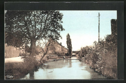 CPA Ligny-le-Chatel, Le Bief, Vue De La Soierie - Ligny Le Chatel