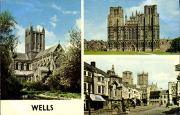 CPA Wells - Wells