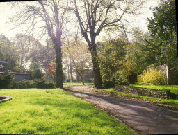 CPM Vieux Conde Nord Vue Du Parc - Vieux Conde