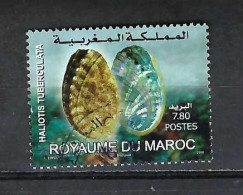 TIMBRE OBLITERE  DU MAROC DE 2008 N° MICHEL 1627 - Maroc (1956-...)