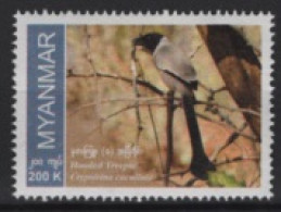 Myanmar (2023) Set / Bird (2) - Myanmar (Burma 1948-...)