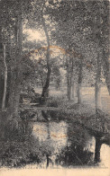 89-LIGNY LE CHATEL-N°T228-B/0283 - Ligny Le Chatel