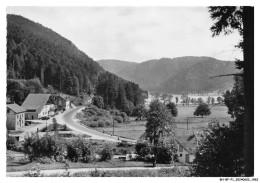 BH-BFP1-0982-88 - Hôtel Du Lac De - LONGEMER - Vue Générale - Xonrupt Longemer