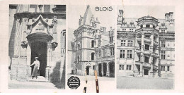 CHROMOS.AM22827.Chocolat Menier.Collection Ville.Vue D'ensemble Blois.Déchirée - Menier