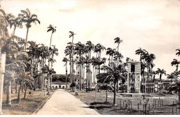Guyane - N°84559 - CAYENNE - Place Des Palmistes - Carte CPSM - Cayenne