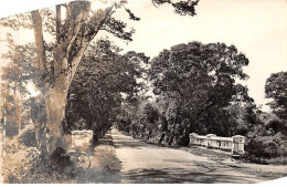 Guyane - N°84554 - CAYENNE - Un Aspect De La Route De Baduel - Carte CPSM - Cayenne