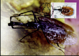 Thailand - MK - Insecten - Thaïlande