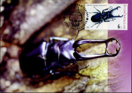 Thailand - MK - Insecten - Thaïlande