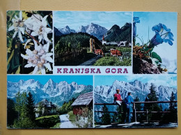 KOV 19-8 - KRANJSKA GORA, Slovenia, Flower, Fleur Edelweiss - Slovenia