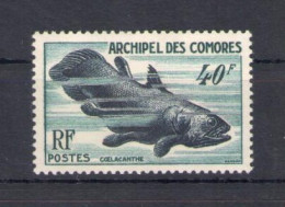 1954 Comores - Pesci - Yvert N. 13 MNH** - Andere & Zonder Classificatie