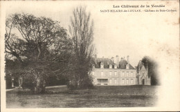 CPA St Hilaire De Loulay Chateau De Bois Corbeau - Saint Hilaire Des Loges