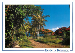 CPM Ile De La Reunion Cocotiers A Sainte Marie - Réunion